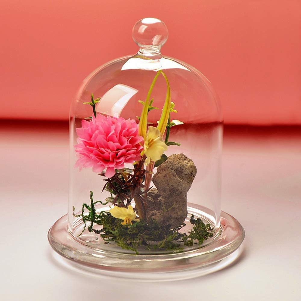 Bloss Best New Year Gift DIY Flower Bell Mini Clear Glass