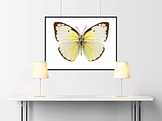 JDT 16 Blades Offset Feeler Gauge Metric & SAE 0.127mm(0.005