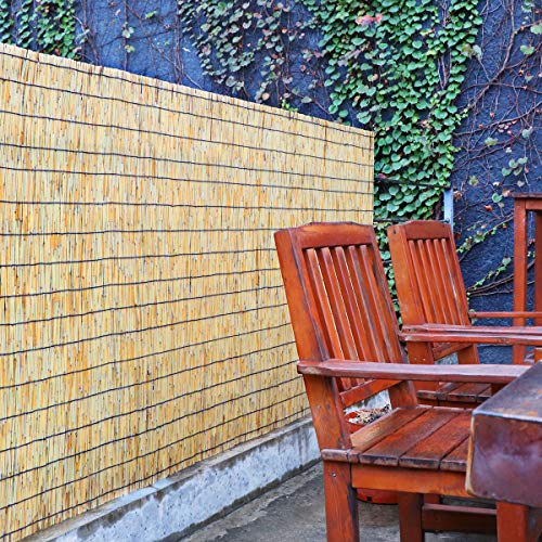 17 proven Apartment Balcony Privacy Ideas (2024) Learn Along with Me