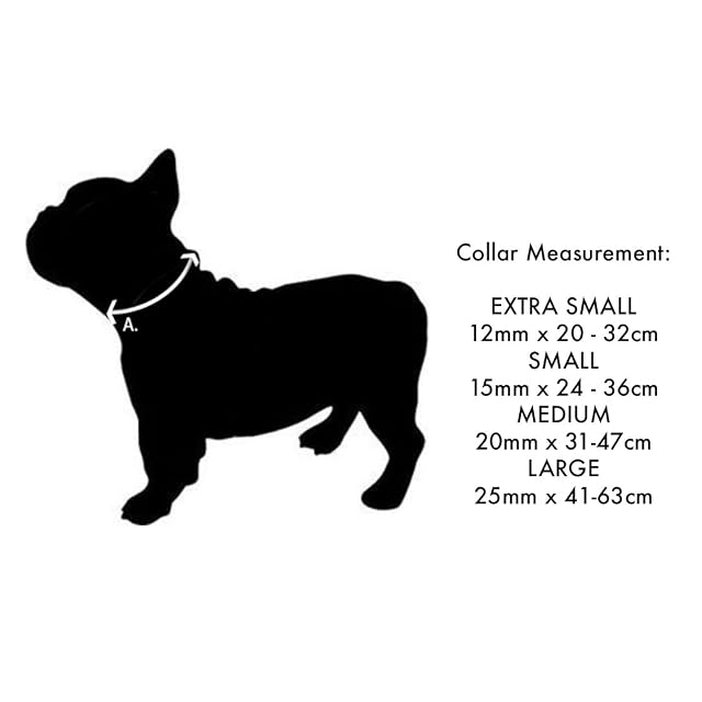 Foto 4 de 4 de Red Dingo - Collar Style