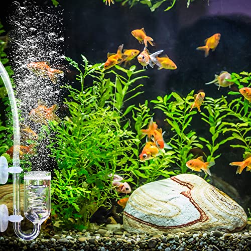 Image of Glass CO2 Reactor, 3 Spiro Glass Diffuser for Aquarium Plants, Suitable for Tanks 15-200 Gal /60-757 Liter