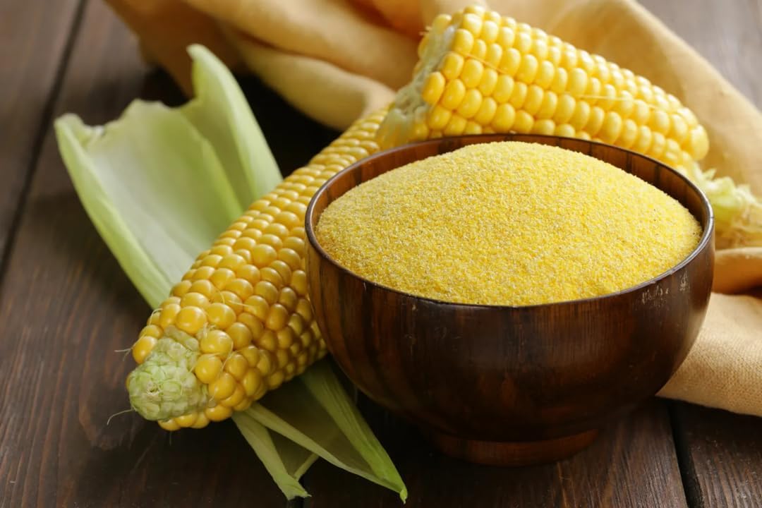 TomorrowSeeds - Reid's Yellow Dent Corn Seeds - 10 Pounds - for 2026 Planting Open-Pollinated Yellow Flint Field for Grinding Silage Cattle Bird Deer Feed Cover Crop Grow Your Own Home Farm Patio