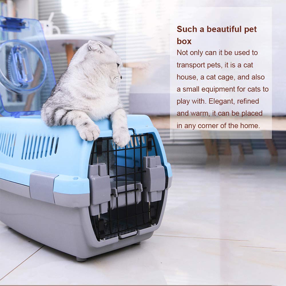 Amazon.com: ZXCVASDF Pet Air Box Dog Cat Cat Bag Out of The
