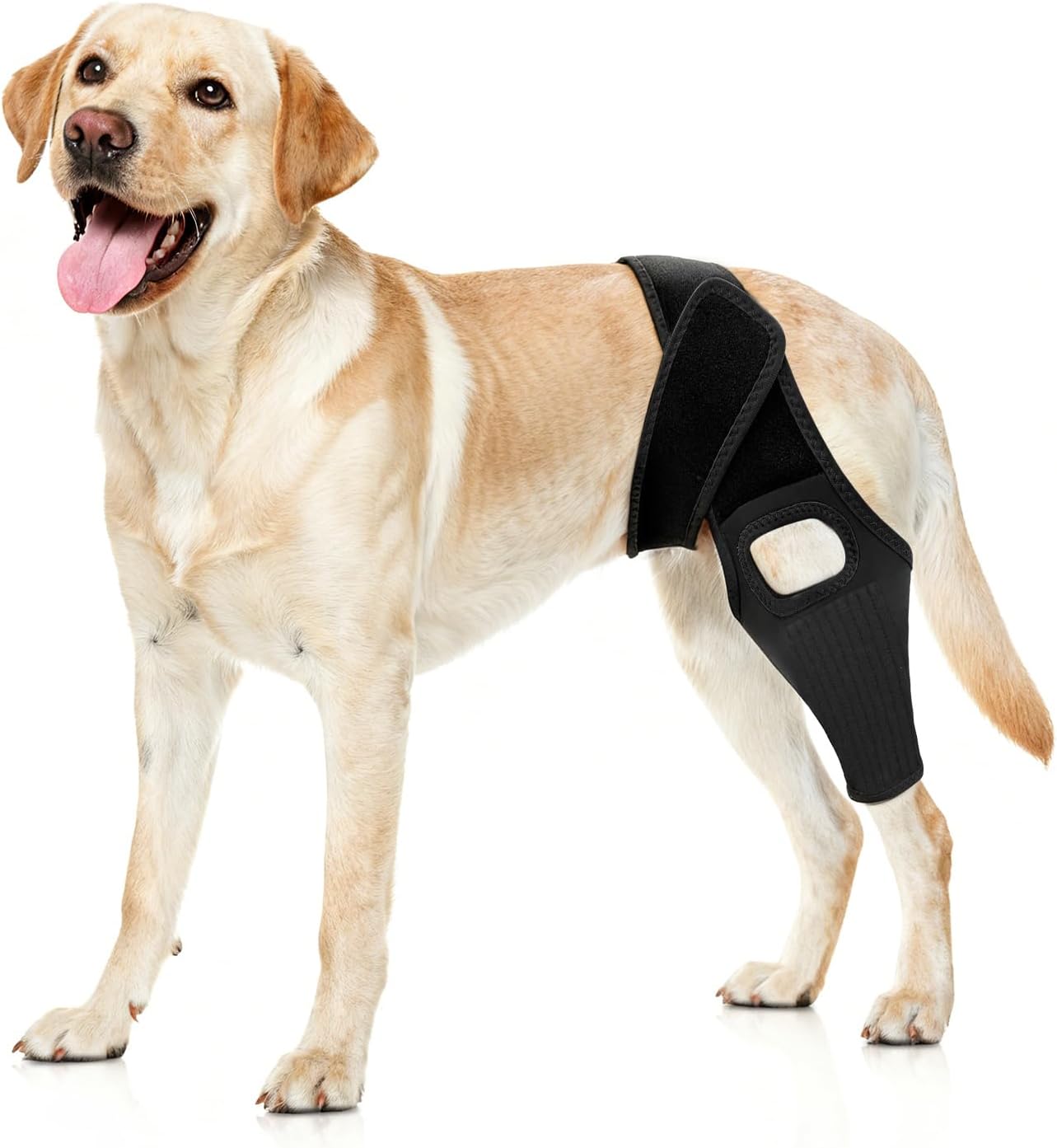 Jorme Dog Knee Brace for Torn ACL, Dog Leg Brace for Post-Surgery Recovery, Arthritis & Luxating Patella,Side Stabilizers, Breathable Neoprene, Adjustable Velcro & Belly Band,Front/Rear Legs (M)