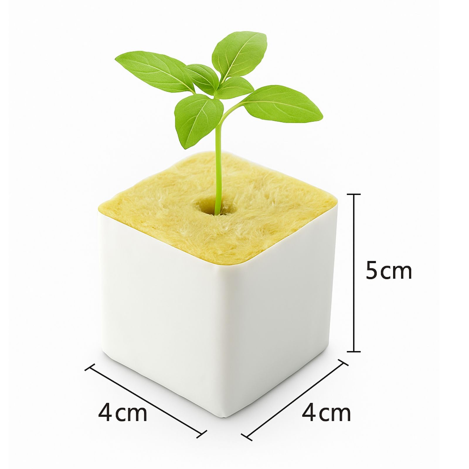 Weedness Cubos de Lana de Roca 4x4 cm 2250 Piezas - Cultivo para Esquejes Siembra Plantas Cultivo Esquejes Crianza Siembra Sustrato de Cultivo