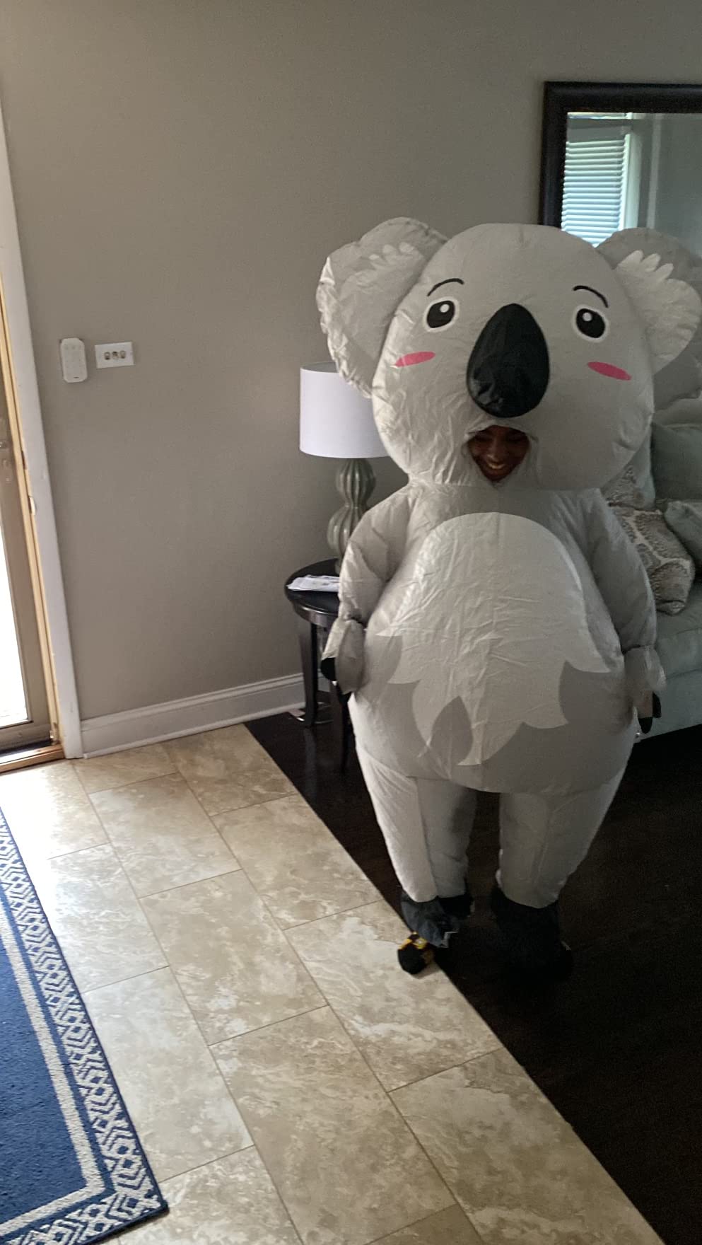 8/mo Finance Arokibui Inflatable Koala Costume for Adult and Kids