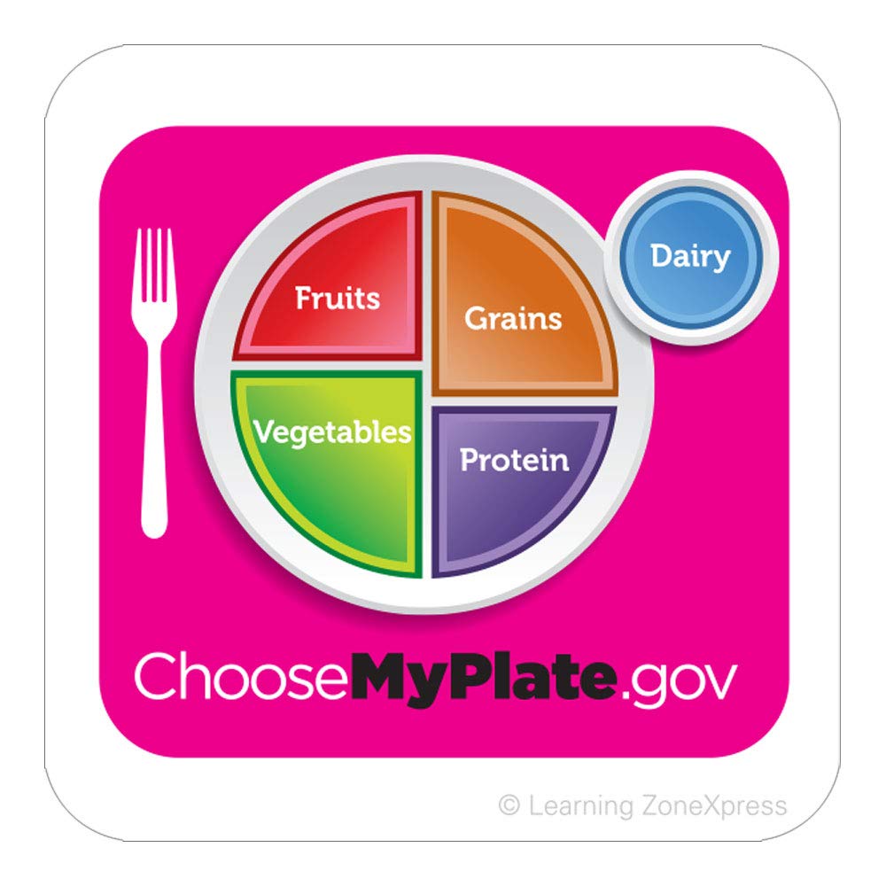 Learning ZoneXpress 200 Multicolor MyPlate Square Stickers, 2" x 2", 4 Designs, Single Use, Indoor, Minimalist Style, USDA MyPlate Educational Incentives - Image 4