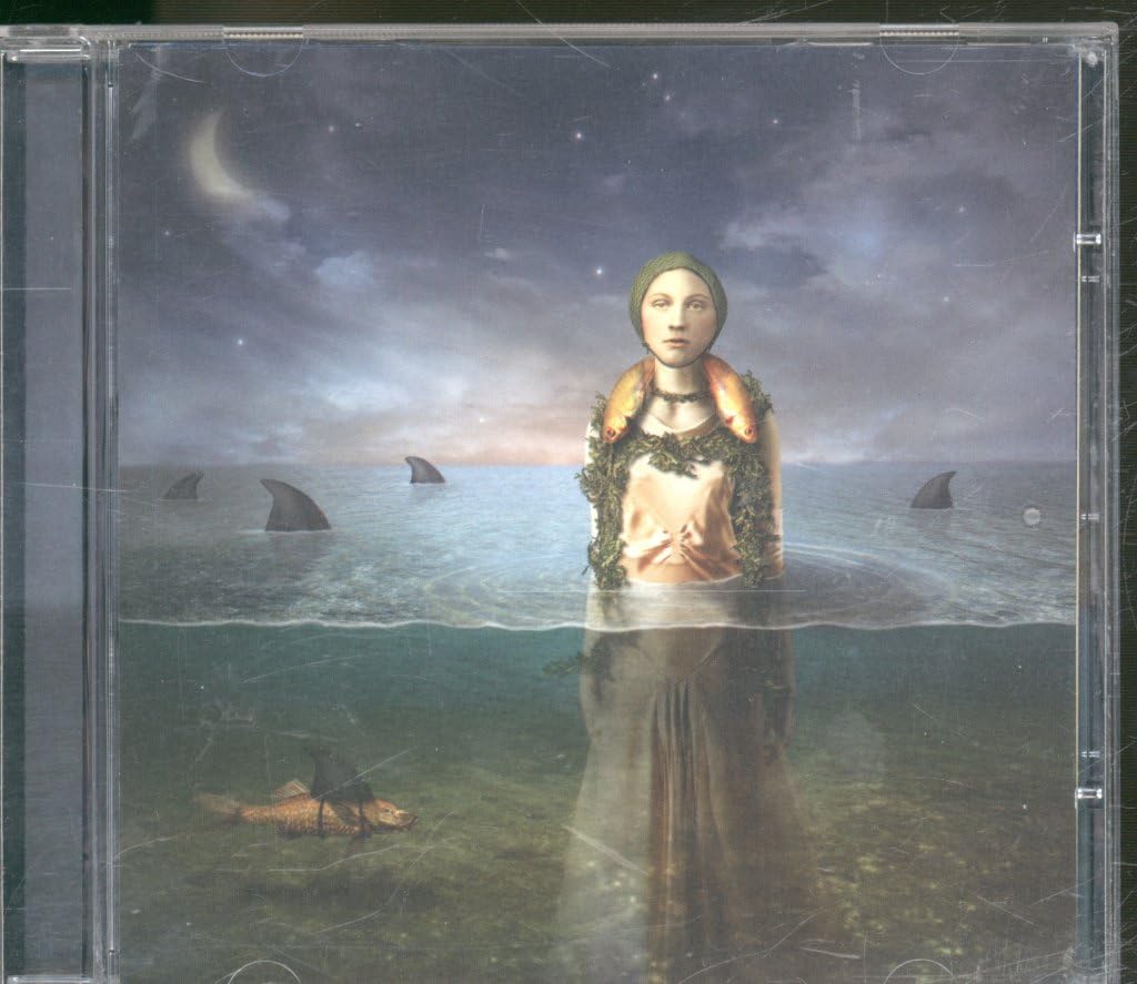 Found in the Flood by The Bled (CD, 2005)