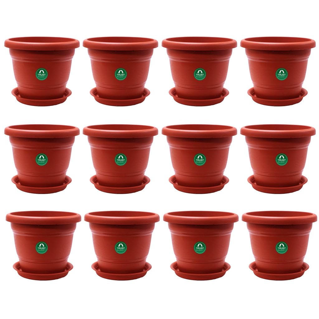 TrustBasket Terracotta pots with Bottom Plates - 12 Pcs (10 inch) | Gamla for Plants with Saucer | Pots and planters with Tray | Garden pots & Bottom Plates (B0CXQV6HLG) Amazon Price History, Amazon Price Tracker