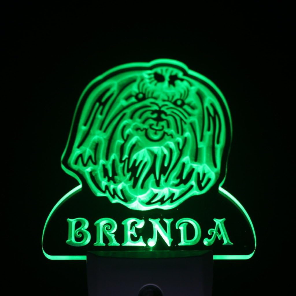 ADVPRO ws1075-tm Maltese Dog Personalized Night Light Name Day/Night Sensor LED Sign
