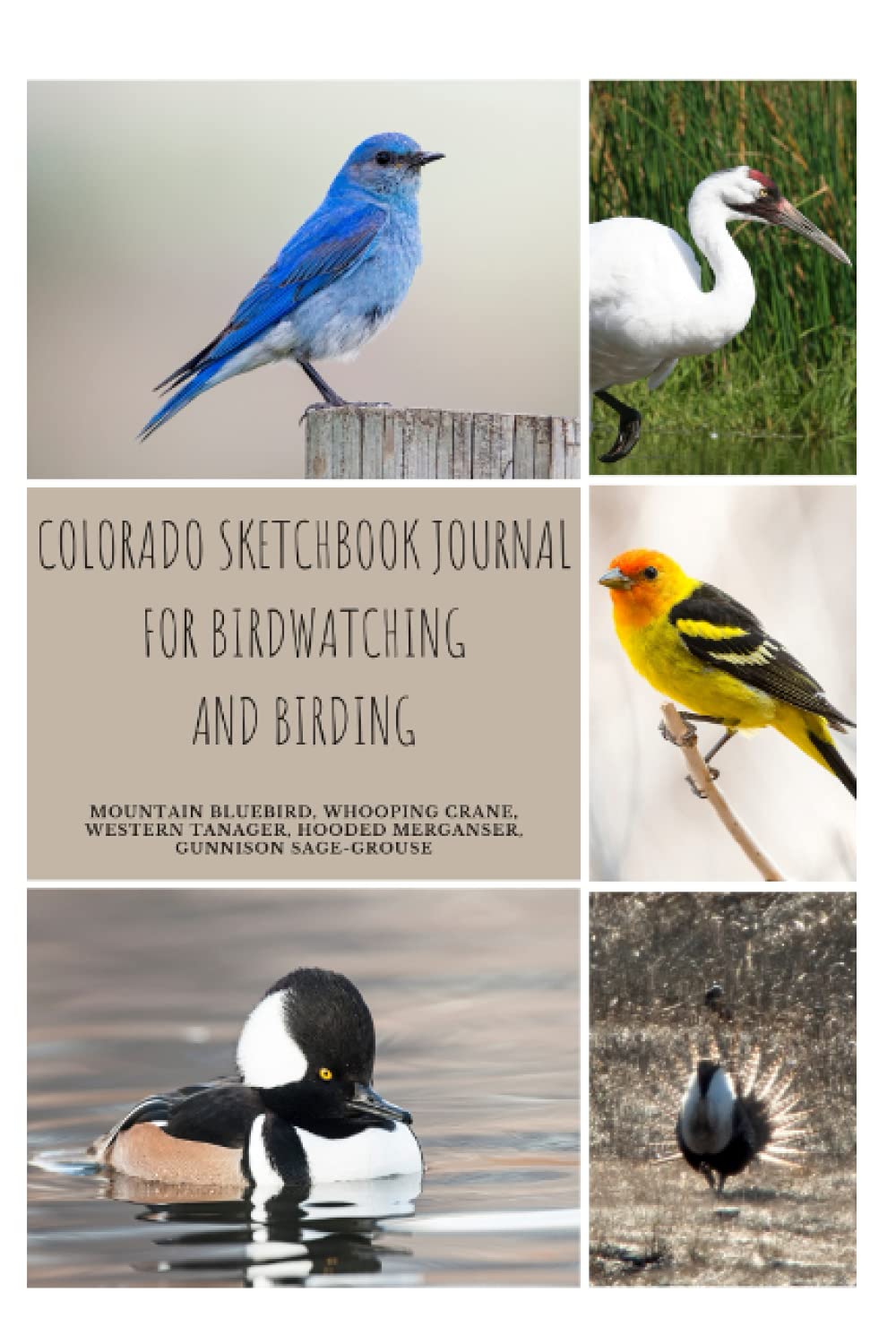 Colorado Sketchbook Journal For Birdwatching And Birding, Mountain Bluebird, Whooping Crane, Western Tanager, Hooded Merganser, Gunnison Sage-Grouse: ... Journal Notebook Birders and Bird Watchers