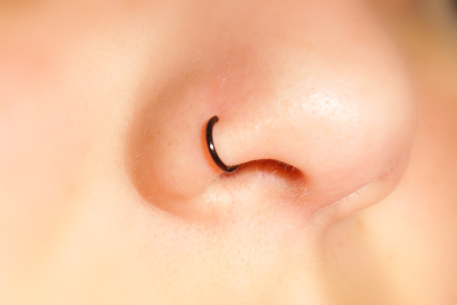 Briana Williams Fake Nariz Anillos Hoop-20G 18G 16G Nariz Aro Anillo 6mm/8mm/10mm/12mm Nariz Piercing Labio Septum Anillo Arete Faux Joyería Piercing del Cuerpo 6 Piezas — view 7