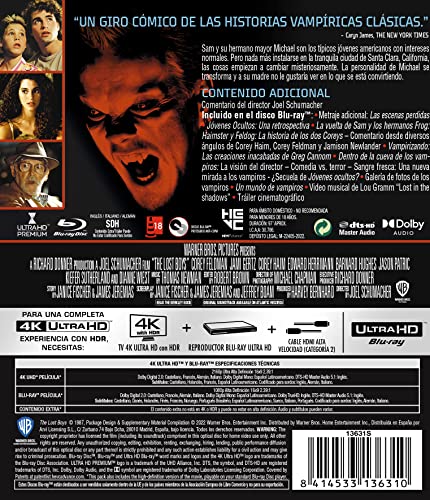 Jóvenes ocultos (4K UHD + Blu-ray) image 4