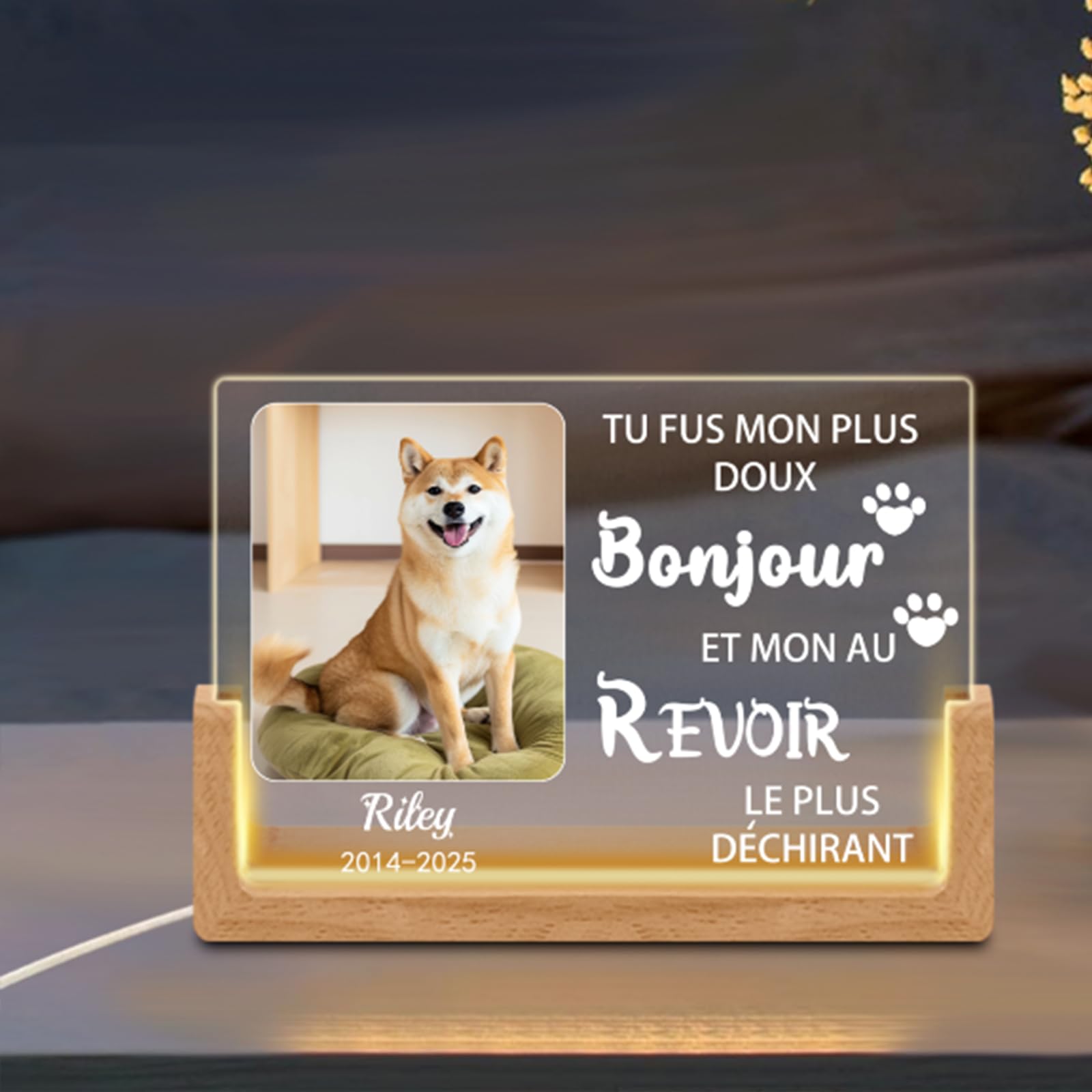 Veilleuse Mémoire pour Chien Personnalisée – Lampe LED avec Photo & Nom d'animal, Cœur & Empreintes de Patte, Cadeau de Deuil pour Amoureux des Chiens, Souvenir avec Date (Style D)