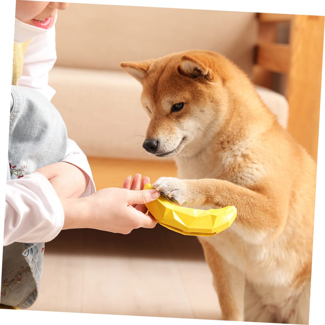 Kisangel 6stücke Teiliges Interaktives Kauspielzeug Für Hunde Aus Gummi Fruchtige Quietschspielzeuge Zur Zahnpflege Langsames Futterspielzeug Mit Molarfunktion Für Spielerische