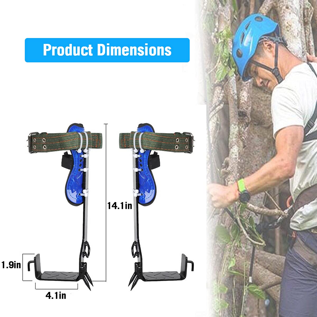 ebees Tree Climbing Spikes, 2 Gear 304 Stainless Steel Spikes for
