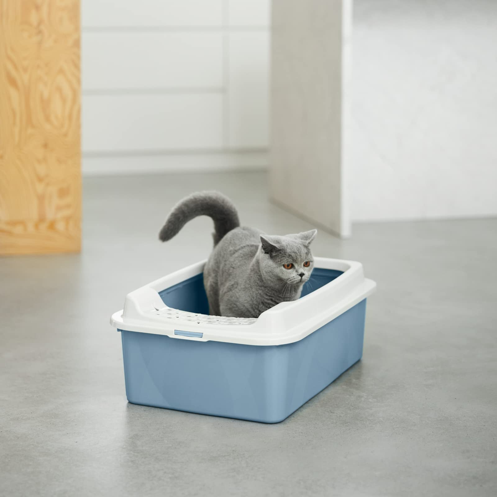 Arenero para Gatos Rotho My Pet Bonnie Eco 56 x 17 x 40 cm Azul/Blanco