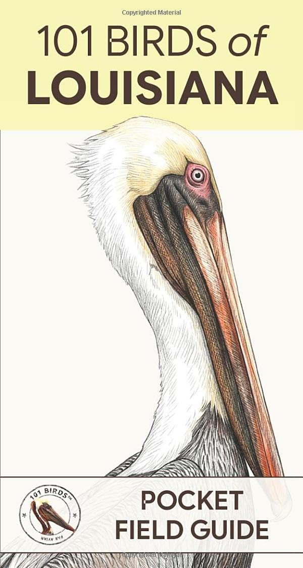 101 Birds of Louisiana: Pocket Field Guide (101 Birds Pocket Field Guides)