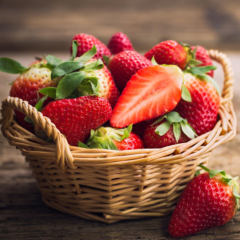 YouGarden Everbearer Strawberry 'Sweet Summer' Grow Your Own Strawberries, Ready to Plant Out Fruit, 3 x 9cm Pots, Bushes for Your Garden