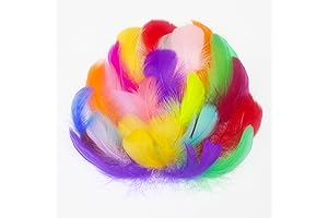 Feathers for Crafts Decoration, 300PCS Colorful Real Goose Feathers