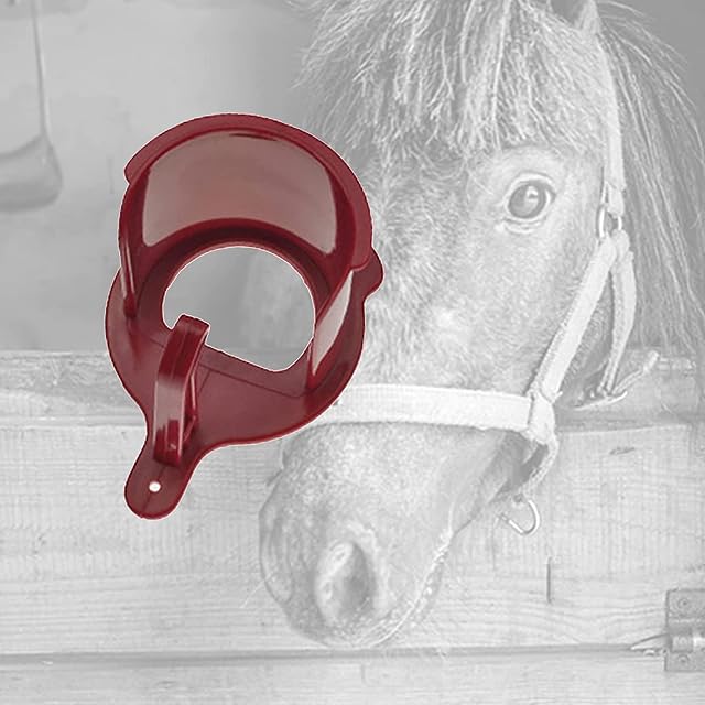 Foto 4 de 8 de Percha de gancho de brida de caballo de calidad ecuestre para habitación, arnés de cabeza, color aleatorio