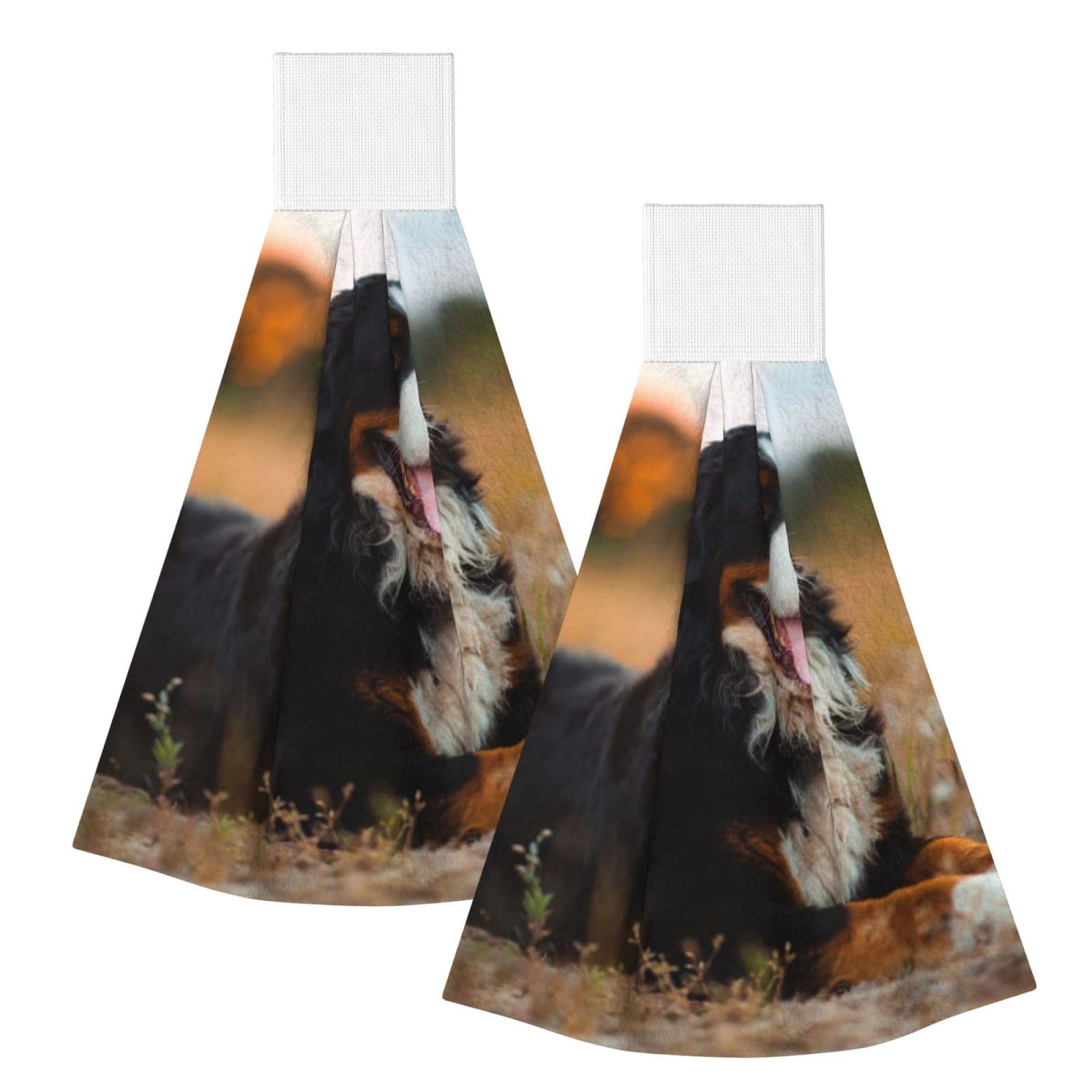 DOPKLNA Bernese Mountain Dog, 2 Pcs Hanging Coral Fiber Hand Towels for Bathroom, Absorbent Kitchen Towels