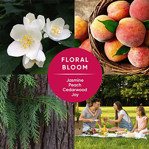 Pinalen Max All Purpose Household Cleaning, 2-In-1 High-Performance Multisurface Bathroom And Kitchen Cleaner, With Floral Scent + Bonus Pack - (33.8 Oz) (2024) #TOP3