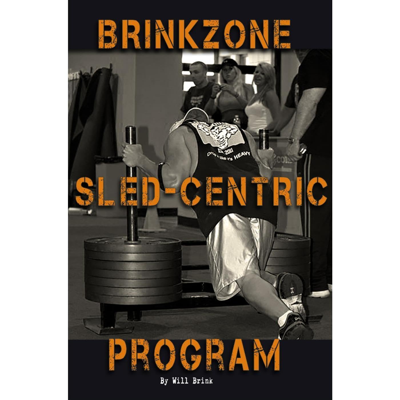 BrinkZone Sled-Centric Program