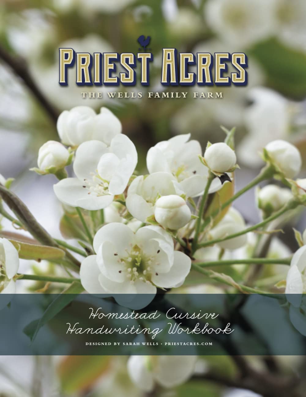 Homestead Cursive Handwriting Workbook