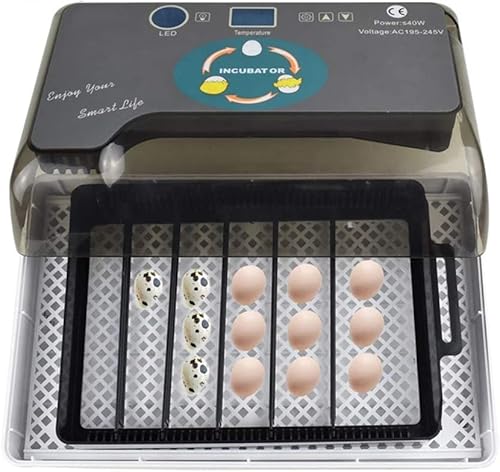ESTGEN Mini incubadora digital de huevos totalmente automática con 12 huevos para criar aves de corral con control de temperatura para incubar