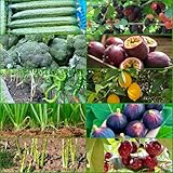 blumen gemüse kräuter obst samen set - 64 Sorten blumensamen mischung dekopflanzen - Seltene pflanzen serie - obstsamen kräuter blumenwiese samen mehrjährig winterhart küchenkräuter 760g