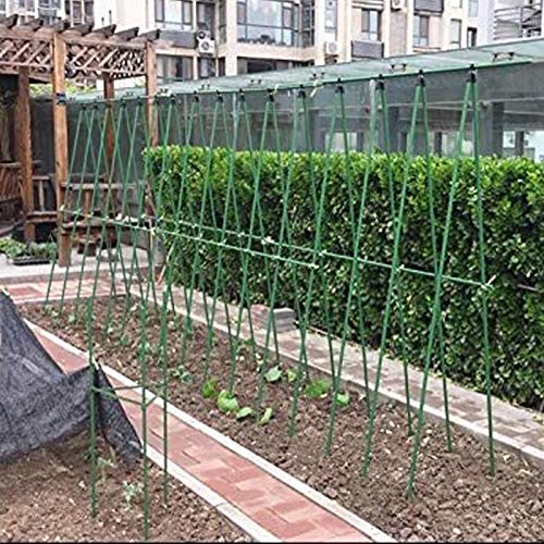 HYDDNice 50Pcs 4FT x 7/16\" Garden Stakes Plant Stakes Plant Cage Supports with 328FT Twist Ties for Sapling Tomato Cucumber Bean Climbing Plants Grow - Thumbnail 5