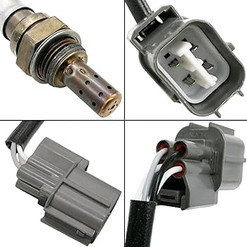 Carlos o②※４本中2本目 51jhh7-47JL.jpg_BO30,255,255,