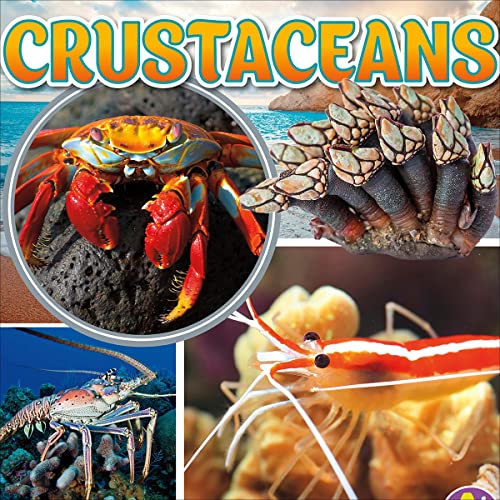 Crustaceans by Emma Bernay, Emma Carlson Berne episode artwork