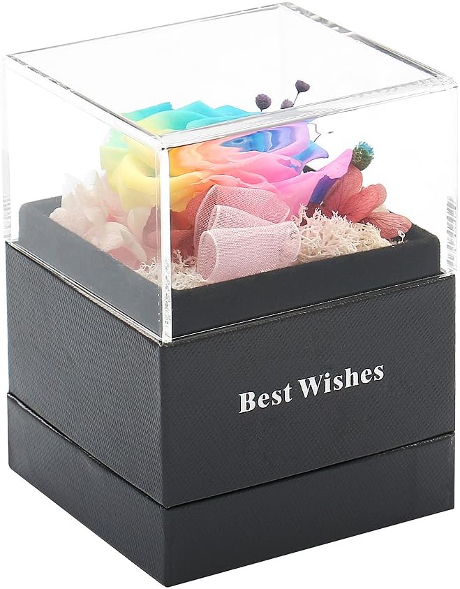 Angel Lover Preserved Flower Rose,Never Withered Roses,Upscale Immortal Flowers,Gifts Women,Her,Girls,Sister, Mother's Day,Valentine's Day,Anniversary,Birthday,Wedding (D Rainbow Rose)