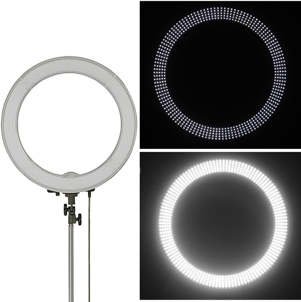 Neewer 18 Inch Ring Light with Wall Mounting Boom Arm, 55W Dimmable 5500K Light with 240 LEDs Color Filter, Soft Tube and Carrying Bag for YouTube TikTok Selfies Video Photography
