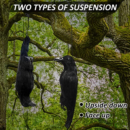 Lewtemi 2 Pcs 17 Inch Realistic Hanging Dead Crows Decoy Life Size Black Feathered Crow Fake Black Crows for Garden Decorations by Lewtemi - Image 6