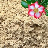 GARDENWISE Fine Sand for Plants – Horticultural Sand for Succulents, Cactus, Potting Mixes, Terrariums & Decorative Indoor Gardens, Made in USA (1 Quart - 2.8 lbs)