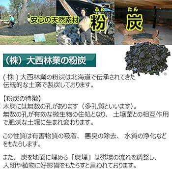 竹炭45L×3袋　環境改善　土壌改良　消臭　co2固定でカーボンマイナス Amazon.co.jp: 山海環 バイオ炭、竹炭のポーラス炭、土壌改良と