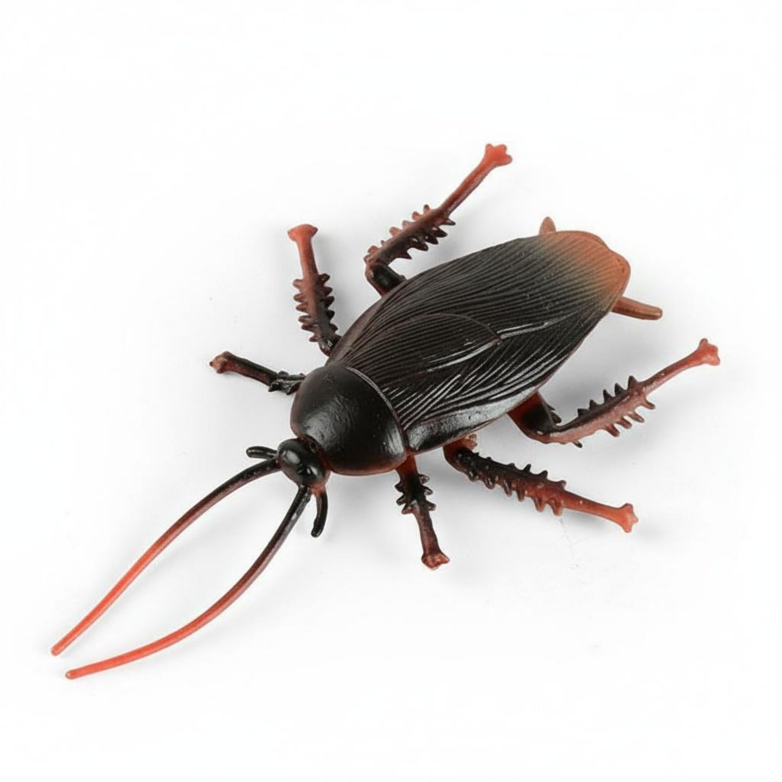 Amagogo Figure Realistic Model Animal Educational Toy Lifelike Simulation Collectible Suitable for Classroom Display Garden Decoration, Male Cockroach