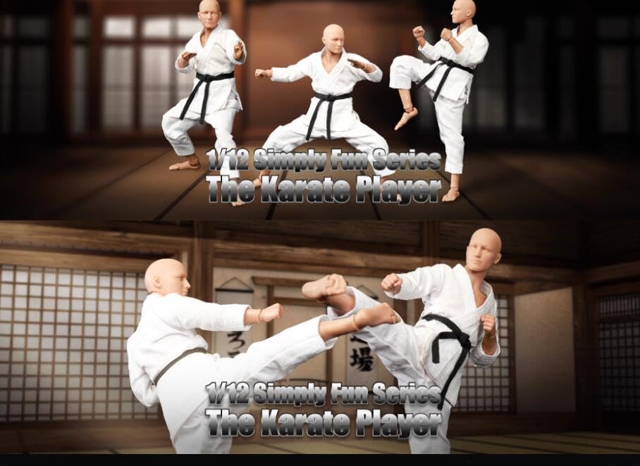 とうしつ様★ Amazon.co.jp: 「AC」DID PALM HERO 1/12 空手道 可動