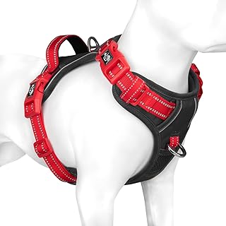 PHOEPET Anti-Pull Dog Harness, Reflective Adjustable Puppy Safety Harness for Small, Medium and Large Dogs (S, Black Base & Red Straps) product image