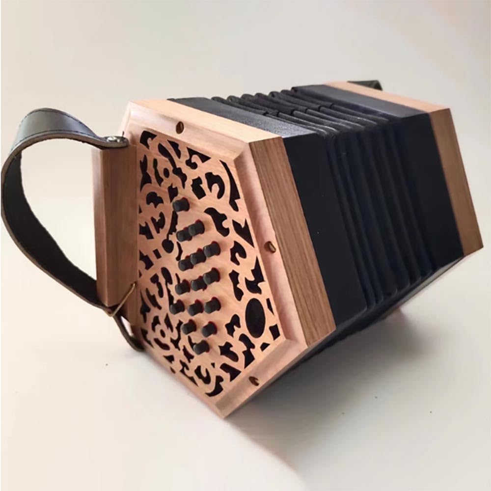 Fisarmonica esagonale a 20 tasti per adulti Fisarmonica professionale per principianti Concertina professionale (nero)