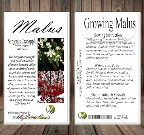 Malus Sargentii (Sargent's Crabapple) Tree Seed, Fragrant White Flowers, Small, Dark Red, Persistent Fruits, You Choose The Quantity (1 Pack) #TOP5