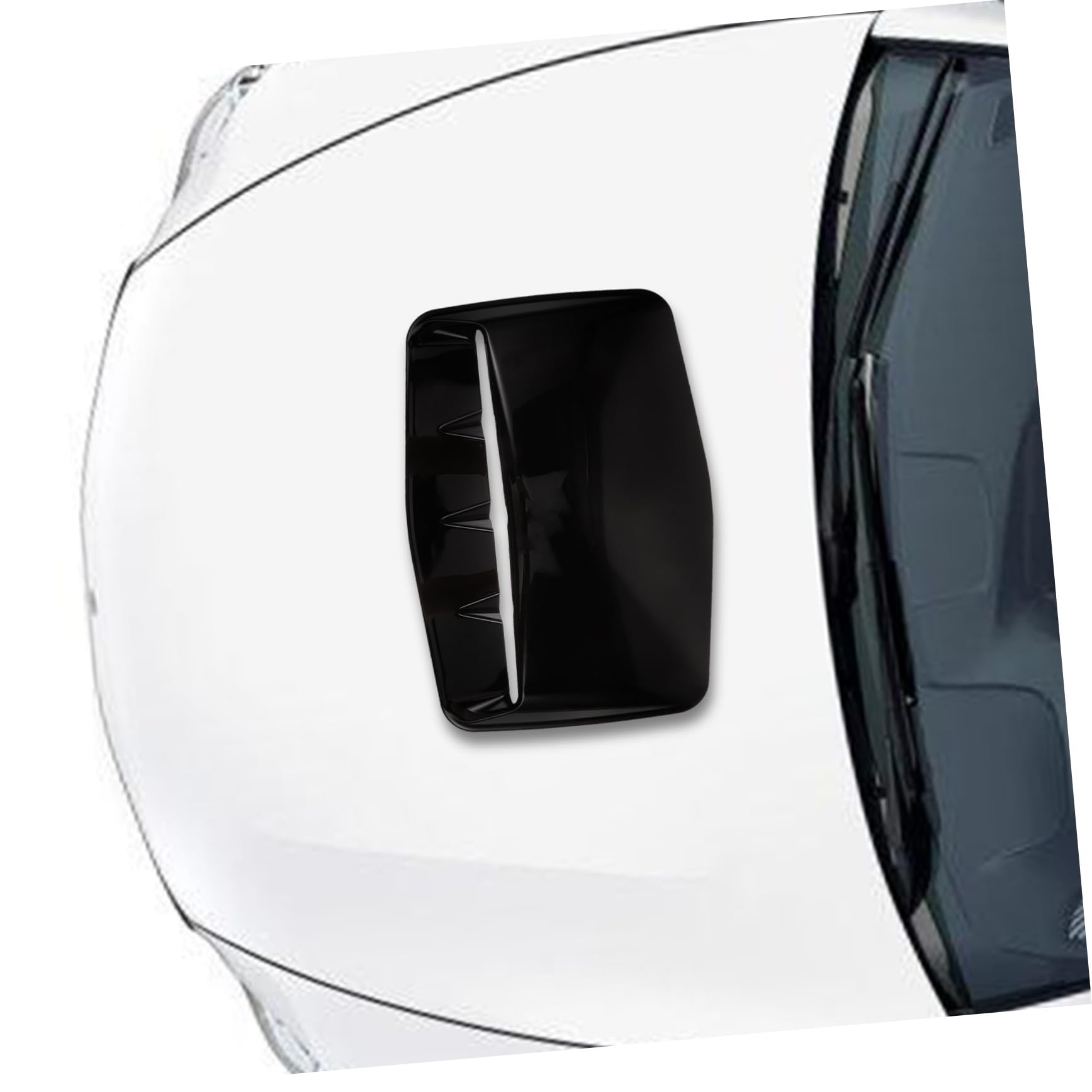 Luxmira 黒いファーボンネット 11月中旬納品分※黒いファーボンネット“ Fée noire” | Luxmira