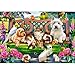 Produktbild Castorland C-104406-2 Pets in The Park 1000 Teile Puzzle, Bunt