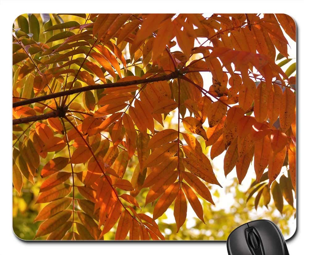 Mouse Pad - Yellow Leaves Autumnal Leaves Gingko Tree Red Huang 2