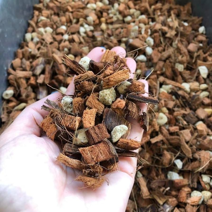 【猫茶】 ニャさま専用 chaiさま CHAIさま専用 chaiさま専用 ZX｜製品紹介