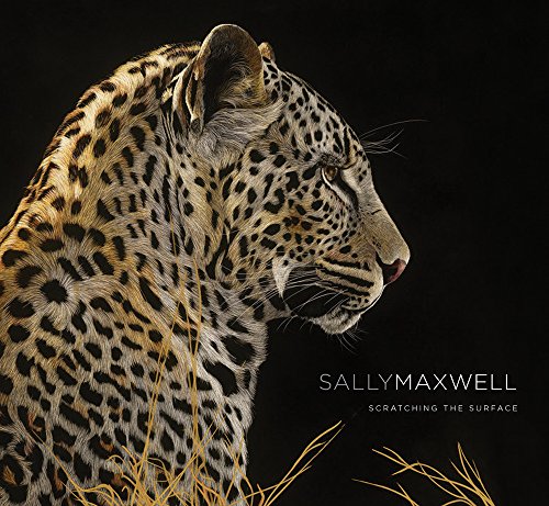 Sally Maxwell: Scratching the Surface