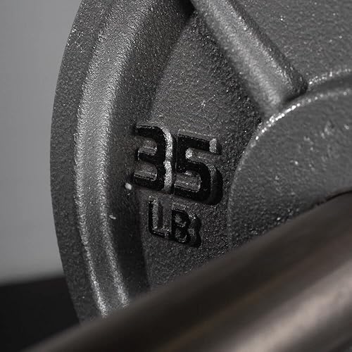 Miniatura 7 de Titan Fitness Placa olímpica de hierro fundido de 35 libras, se vende individualmente, diseño clásico de placa de peso, acabado de martillo plateado